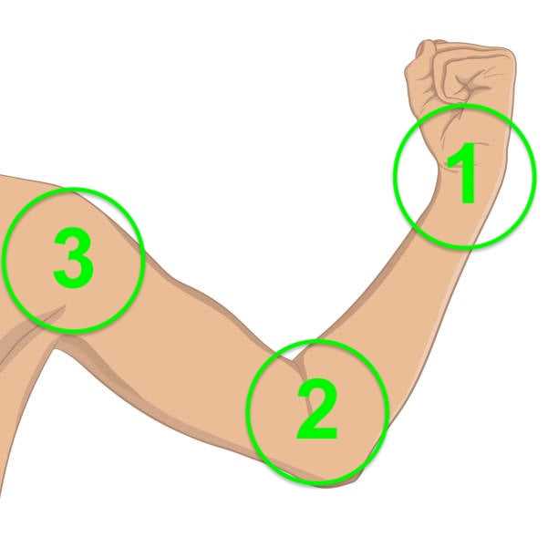 How many joints are in your arm?